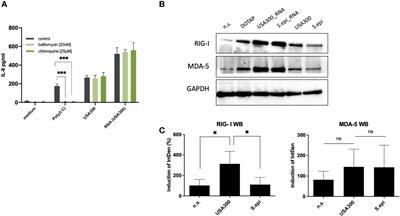 Corrigendum: Inflammatory response against Staphylococcus aureus via intracellular sensing of nucleic acids in keratinocytes